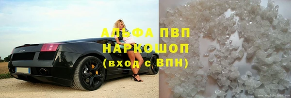 трава Ельня